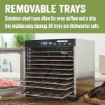 LEM Products BigBite 10-Tray Stainless Steel Dehydrator, Food Dehydrator for Beef Jerky, Meat, Vegetables, and Fruits, Includes Dryer Machine and 10 Trays, Silver