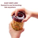 Mason Jar Fermentation Kit - Food Grade Fermenting Lids for Wide Mouth Mason Jars, includes Easy Grip Fermenter Lids 4-Pack, Weights and Pump - a Great Starter Sauerkraut Fermenting Kit, Brillenti