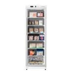 BEYOU Commercial Freezer Upright，10.7 Cu. ft. Reach-in Freezer with Single Glass Door