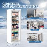 BEYOU Commercial Freezer Upright，10.7 Cu. ft. Reach-in Freezer with Single Glass Door