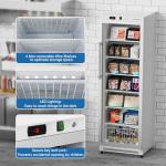 BEYOU Commercial Freezer Upright，10.7 Cu. ft. Reach-in Freezer with Single Glass Door