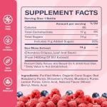 TrueSeaMoss Mixed Berry Sea Moss Lemonade – Antioxidant-Rich Natural Drink with Sea Moss – 4 x 12 fl oz Bottles – Vegan – Made in USA