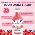 TrueSeaMoss Mixed Berry Sea Moss Lemonade – Antioxidant-Rich Natural Drink with Sea Moss – 4 x 12 fl oz Bottles – Vegan – Made in USA