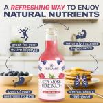TrueSeaMoss Mixed Berry Sea Moss Lemonade – Antioxidant-Rich Natural Drink with Sea Moss – 4 x 12 fl oz Bottles – Vegan – Made in USA
