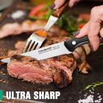 HAUSHOF Steak Knives Set of 8, Premium Stainless Steel Serrated Steak Knife Set with Gift Box, Full Tang and Ergonomic Handle, Gifts Knife Set for Mom, Dad, Wife and Husband