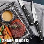 HAUSHOF Steak Knives Set of 8, Premium Stainless Steel Serrated Steak Knife Set with Gift Box, Full Tang and Ergonomic Handle, Gifts Knife Set for Mom, Dad, Wife and Husband