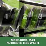 Omega Cold Press Juicer Machine, All-in-One Nutrition System for Vegetable and Fruit Juice, Nut Butter, Baby Food, Pasta and Sorbets, Triple-Stage 80-RPM Slow Masticating Juicer, 200-Watts, Black