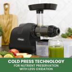 Omega Cold Press Juicer Machine, All-in-One Nutrition System for Vegetable and Fruit Juice, Nut Butter, Baby Food, Pasta and Sorbets, Triple-Stage 80-RPM Slow Masticating Juicer, 200-Watts, Black
