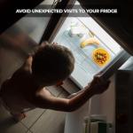 Fridge Lock for Kids and Adults, (2 Pack) French Door Refrigerator Lock, Adjustable Refrigerator Lock for Kids, Toddlers, and Adults, Double Door Fridge Lock, Easy Installation