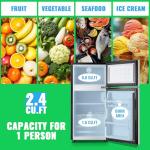 DEMULLER Mini Fridge with Freezer, 2.4 Cu.Ft Personal Refrigerator Only for One Person Use, Silver Tiny Small Size Refrigerator with 7 Level Adjustable Temperature and Double Door