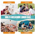 Lunch Bag for Men/Women, Reusable Lunchbox for Adult, Small Insulated Lunch box, Lunch Tote Bag for Office, Work, Picnic - Grey