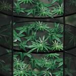 iPower Herb Drying Rack 6-Layer 2-Feet Black Mesh Hanging Net Dryer Collapsible with Opendoor, Pothook and Storage Pouch, for Hydroponics Buds and Flowers