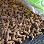Apple Wood Pellets - 5 Pound Bag