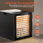 Food Dehydrator, 12 Stainless Steel Trays in 850W Dehydrator Machine, 48 Hour Digital Timer and 165°F Temperature Adjustable, Food Dryer for Jerky, Dog Treats, Meat, Fruit, Herbs