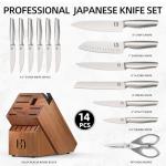 KnifeSaga Kitchen Knife Set 14 Piece Premium Japanese High Carbon Stainless Steel Knife Block Sets with Built-in Sharpener, Razor Sharp Knives Set for Kitchen, Quality Acacia Wood Block Knife Set