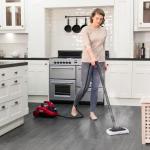 Ewbank Dynamo Steam Cleaner for Chemical-Free Cleaning, Multipurpose with Attachments, Portable, Multi-surface, For Carpets, Tiles, Bathrooms, Floors, and More, Red, SC1000