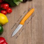 OPOLIA Paring Knife Fruit Knife Set (6 Pieces), Ultra Sharp Stainless Steel Vegetable and Fruit Knife with PP Plastic Ergonomic Handle for Cutting Fruits and Vegetables- Colorful