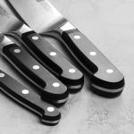 ZWILLING Pro Magnetic Knife Block Set - Made in Germany - 5 Piece, Birchwood Block