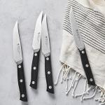 HENCKELS Dynamic Razor-Sharp Steak Knife Set of 4, German Engineered Informed by 100+ Years of Mastery, Stainless Steel