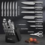 Knife Set, Emojoy 15 Pieces Kitchen Knife Block Set with Built-in Sharpener, High Carbon Stainless Steel Sharp Knife Block Set with Hollow Handle