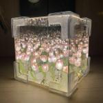 DIY Tulip Sea Cube Night Light Ornament Set