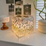 DIY Tulip Sea Cube Night Light Ornament Set