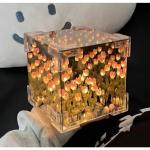 DIY Tulip Sea Cube Night Light Ornament Set