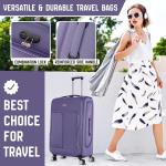 Expandable 4-Wheel Lightweight Suitcase Set