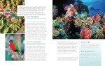 Lonely Planet's Top Travel Picks for 2025