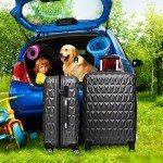 Hard Shell Travel Trolley - 20/24/28" Luggage