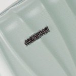 Sage Green 24-Inch Spinner by American Tourister