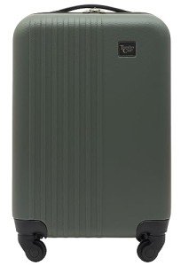 Fern Green 20-Inch Spinner Carry-On Luggage