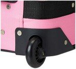 Pink Rockland Softside Expandable Luggage Set - 2-Piece
