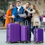 Purple Hardside Luggage Set - 3 Piece Spinner