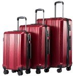 Wine Red 4-Piece Travel Luggage Set - Unisex
