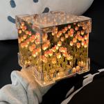 DIY Tulip Sea Cube Night Light Ornament Set