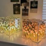 DIY Tulip Sea Cube Night Light Ornament Set