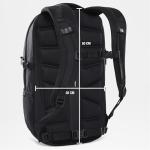 North Face Fall Line Backpack for Travel & School