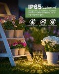Hummingbird Solar Lantern Decor