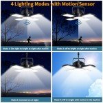 Solar Powered Motion Sensor Light for Outdoors