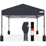 Gray 10x10ft Instant Pop-Up Canopy Tent