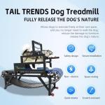 Multi-Functional Dog Treadmill with Speedometer