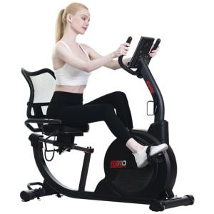Recumbent Exercise Bike with LCD Monitor and Cushion