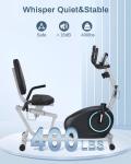 Kawnina Senior-Friendly Recumbent Exercise Bike