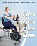 Kawnina Senior-Friendly Recumbent Exercise Bike