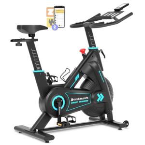 LUXECYCLES Adjustable Magnetic Exercise Bike for Home