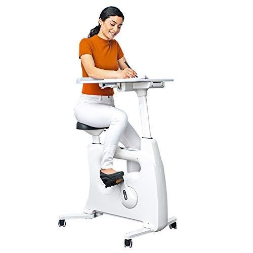 Flexispot