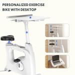 FLEXISPOT 3-IN-1 Adjustable Exercise Bike for Home
