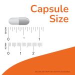 Mega D-3 & K-2 Supplements for Bone Health