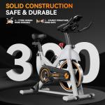 POOBOO Indoor Exercise Bike with Bluetooth and Comfort Seat